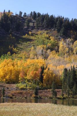 Herbstlicher Bergsee in der Nähe von Salt Lake City.