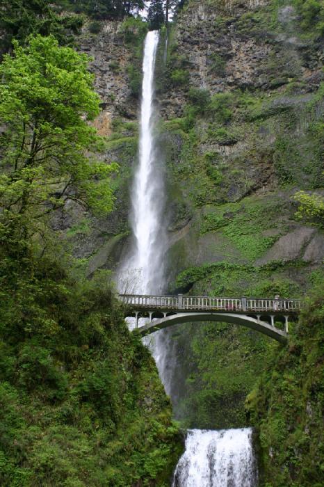 Multnomah Falls Multnomah Falls