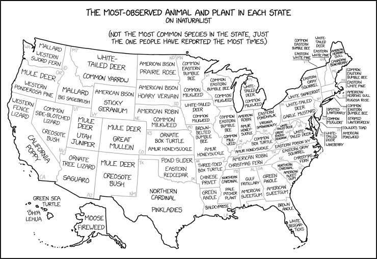 Asimov's Cosmic AC was created by linking all datacenters through hyperspace, which explains a lot. It didn't reverse entropy--it just discarded the universe when it reached end-of-life and ordered a new one.
xkcd image
