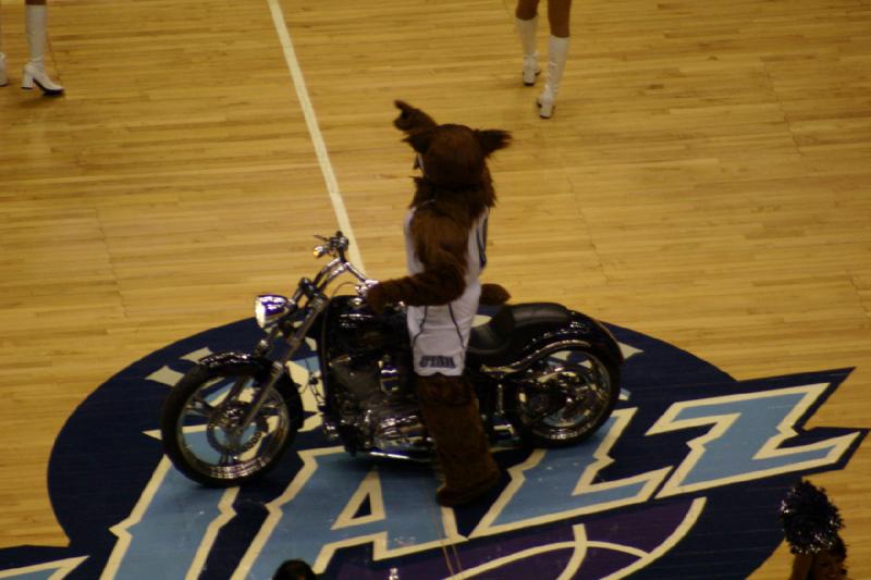 2008-03-03 19:07:14 ** Basketball, Utah Jazz ** The bear rode his motorcycle through the cheerleaders onto the middle of the court and heats up the fans.