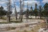 At the Upper Geyser Basin.