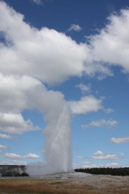 2008-08-15 11:39:45 ** Yellowstone Nationalpark ** Die Wassersäule von Old Faithful erreicht üblicherweise zwischen 30 bis 55 Meter Höhe.