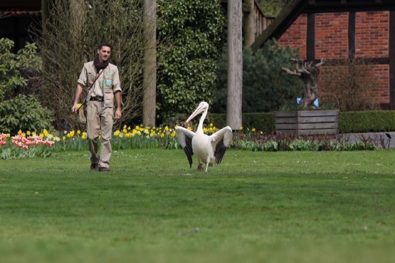 2010-04-13 14:28:27 ** Deutschland, Walsrode, Zoo ** 