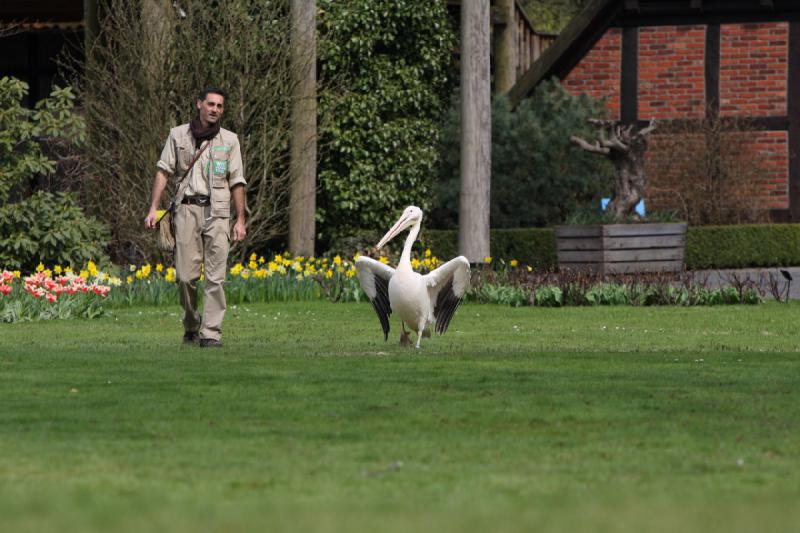 2010-04-13 14:28:27 ** Germany, Walsrode, Zoo ** 