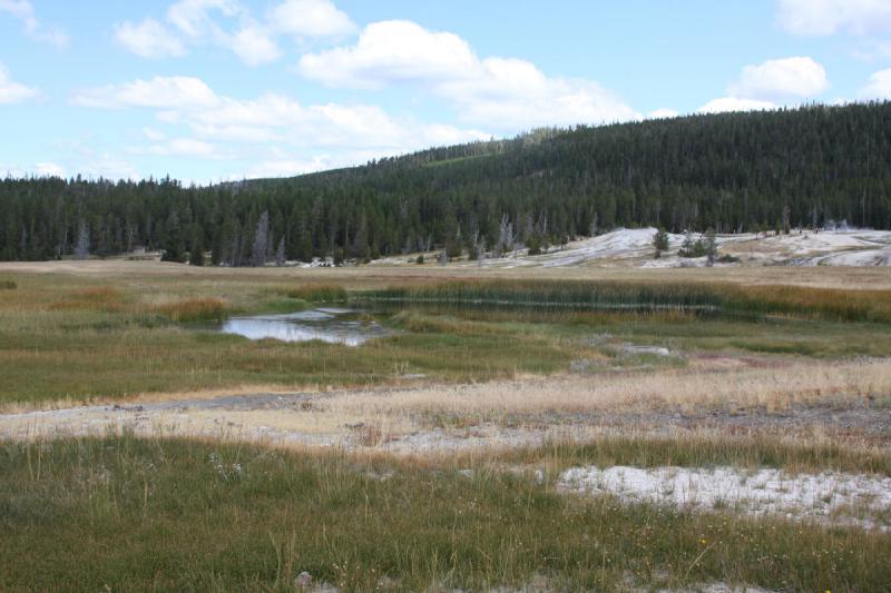 2008-08-15 12:39:33 ** Yellowstone National Park ** 