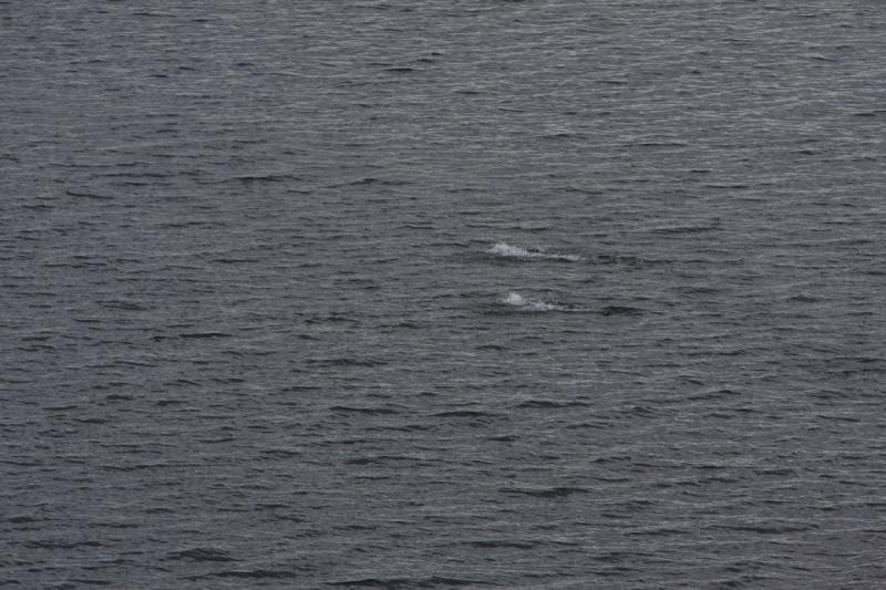 2012-06-19 19:47:27 ** Alaska, Cruise ** 