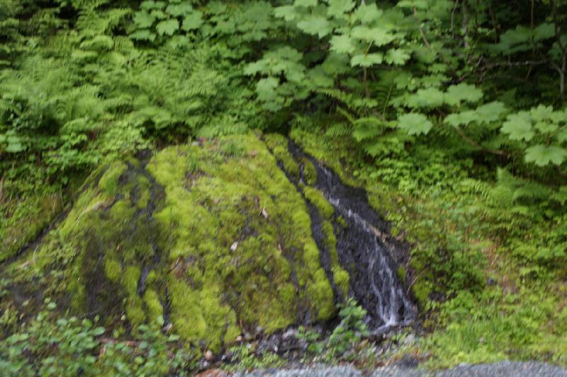 2012-06-20 18:35:47 ** Alaska, Cruise, Juneau ** 