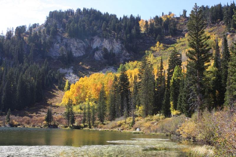 2010-10-01 14:29:12 ** Big Cottonwood Canyon, Utah ** 2010-10-01 14:29:12 ** Big Cottonwood Canyon, Utah **