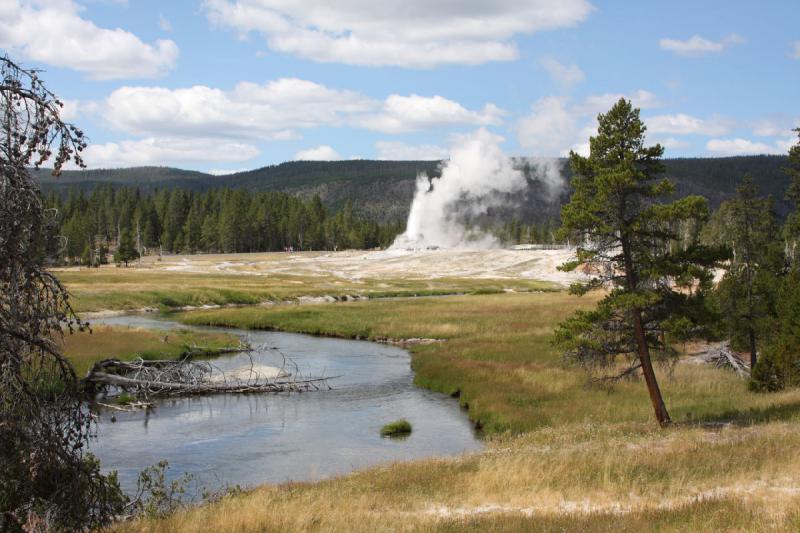 2008-08-15 12:10:33 ** Yellowstone National Park ** Castle Geyser.
