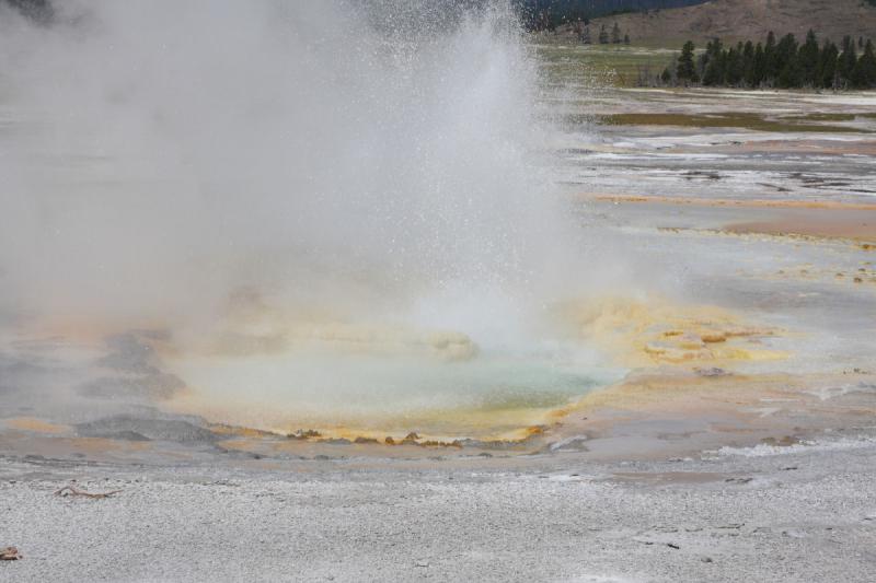 2009-08-03 10:47:34 ** Yellowstone Nationalpark ** Sprudelndes Wasser in der Gegend des 'Fountain Paint Pot'.