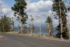 Bäume und Straße in der Nähe des Geschäfts am Ufer von Yellowstone Lake.