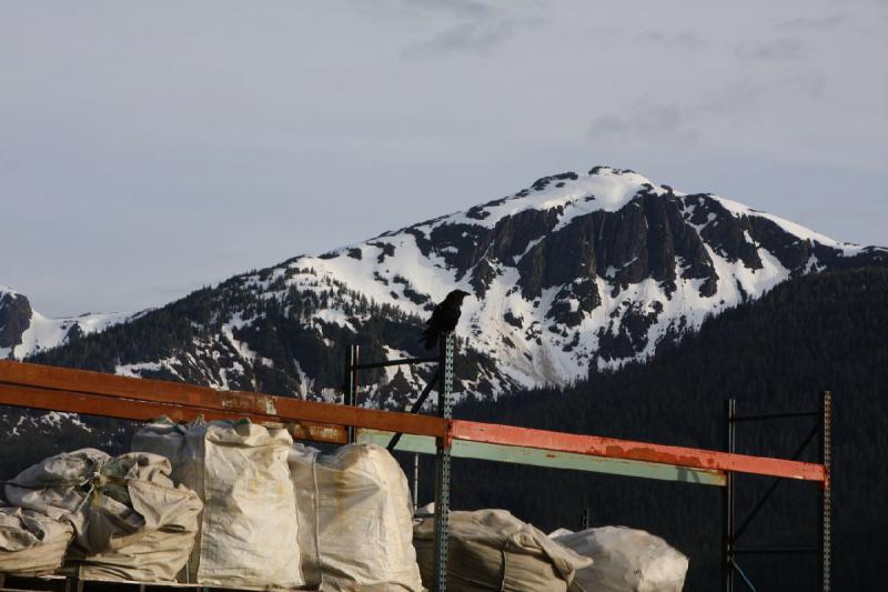 2012-06-20 19:44:24 ** Alaska, Cruise, Juneau ** 