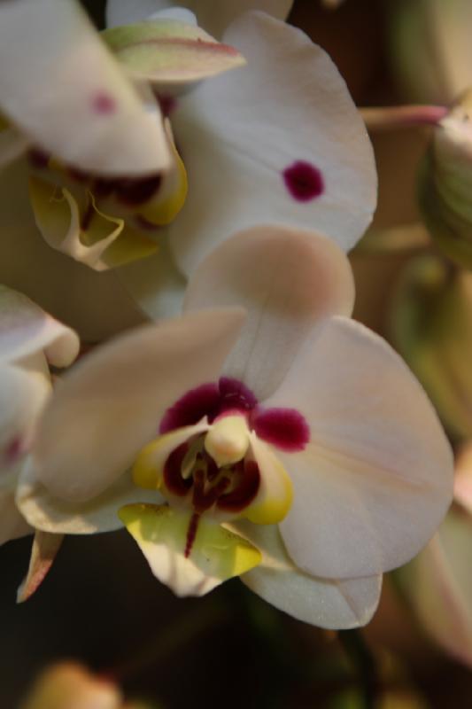 2014-03-14 11:09:50 ** Botanical Garden, Chicago, Illinois ** 