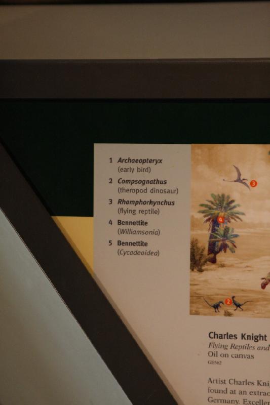 2014-03-13 13:07:06 ** Chicago, Field Museum, Illinois ** 