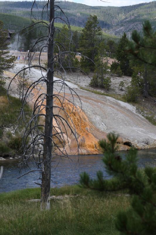 2008-08-15 11:53:08 ** Yellowstone Nationalpark ** Mineralien und Bakterien geben den Felsen am Firehole River Farbe.