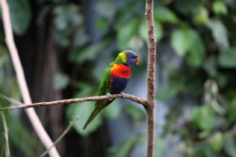 2010-04-10 16:46:12 ** Deutschland, München, Zoo ** 