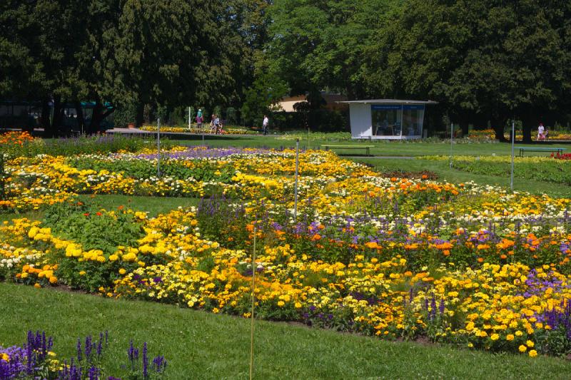 2019-07-23 13:24:27 ** Botanical Garden, Erfurt, Germany ** 