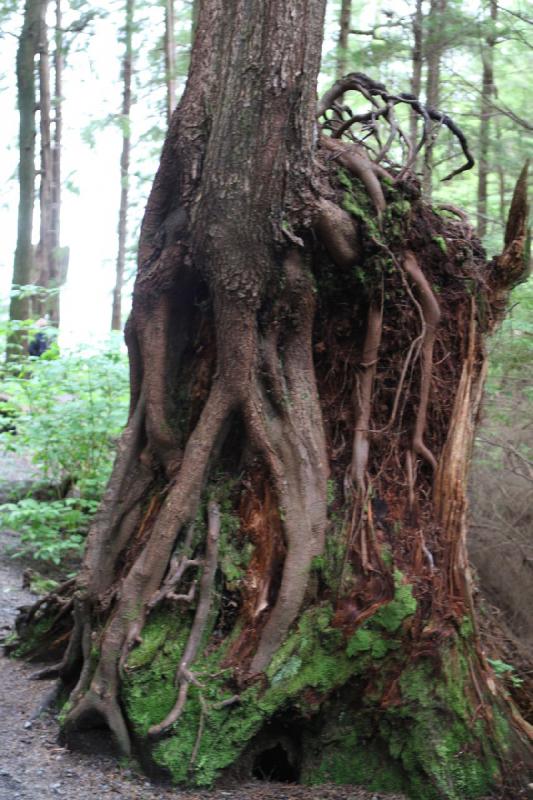 2012-06-19 09:26:19 ** Alaska, Cruise, Ketchikan, Totem Bight State Historic Park ** 2012-06-19 09:26:19 ** Alaska, Cruise, Ketchikan, Totem Bight State Historic Park **