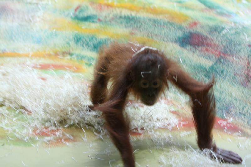 2010-04-10 15:59:41 ** Germany, Munich, Zoo ** 