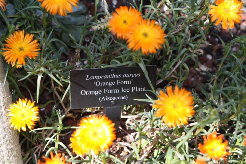 2014-03-14 12:03:27 ** Botanical Garden, Chicago, Illinois ** 