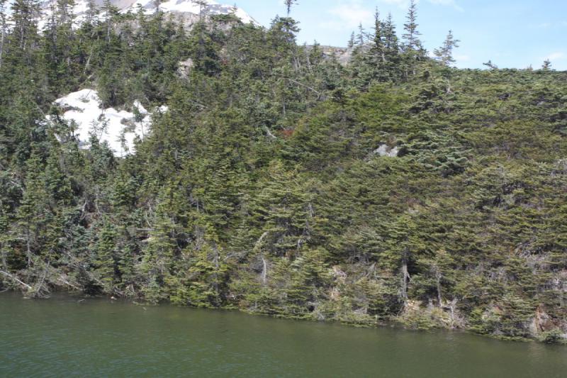 2012-06-21 09:59:00 ** Alaska, Canada, Cruise, Skagway ** 