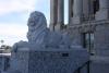 When the Capitol was renovated, the deteriorated cement lions were exchanged with more durable marble lions.