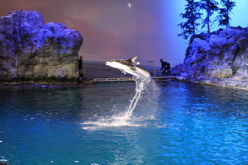 2014-03-12 12:48:17 ** Chicago, Illinois, Shedd Aquarium ** 