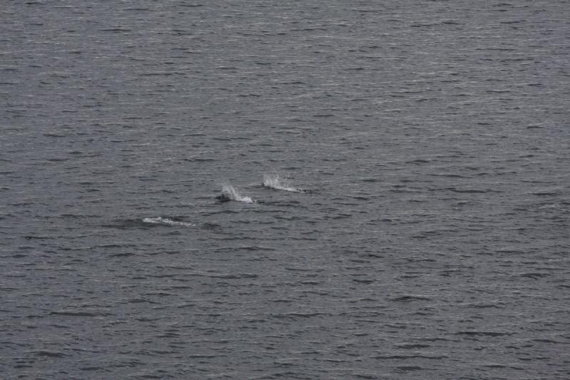 2012-06-19 19:47:30 ** Alaska, Cruise ** 