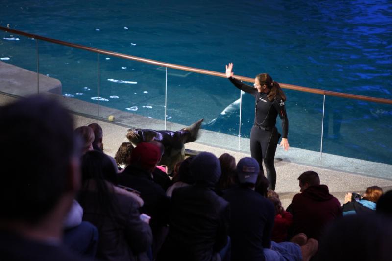 2014-03-12 12:41:35 ** Chicago, Illinois, Shedd Aquarium ** 