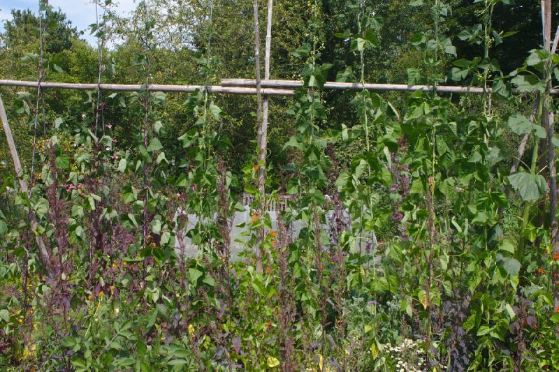2019-07-26 13:41:02 ** Bad Zwischenahn, Botanischer Garten, Deutschland ** 2019-07-26 13:41:02 ** Bad Zwischenahn, Botanischer Garten, Deutschland **