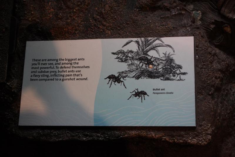 2014-03-12 11:28:58 ** Chicago, Illinois, Shedd Aquarium ** 