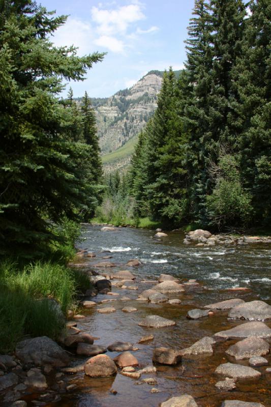 2006-07-23 13:19:44 ** Vail ** Hog heaven for anglers.