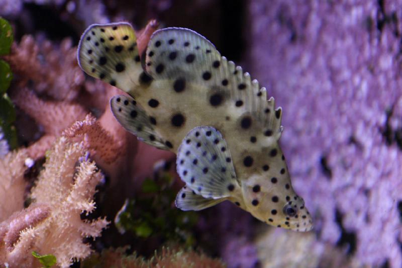 2010-04-10 15:24:15 ** Aquarium, Germany, Munich, Zoo ** 