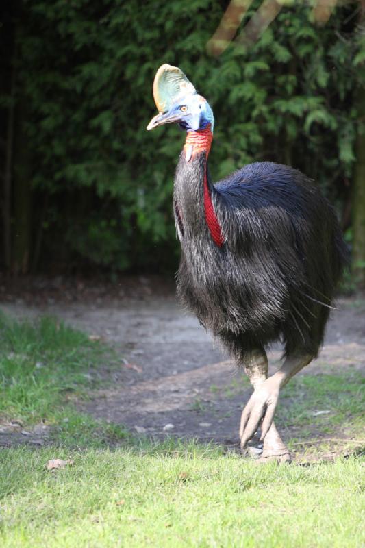 2010-04-13 16:29:05 ** Deutschland, Walsrode, Zoo ** 