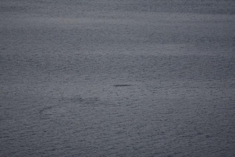 2012-06-21 21:26:16 ** Alaska, Cruise ** 