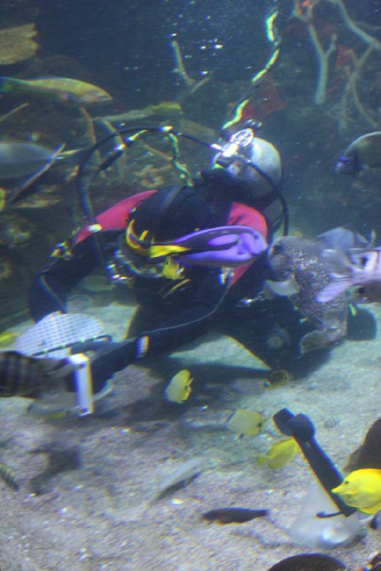 2012-06-16 11:14:12 ** Aquarium, Seattle ** 
