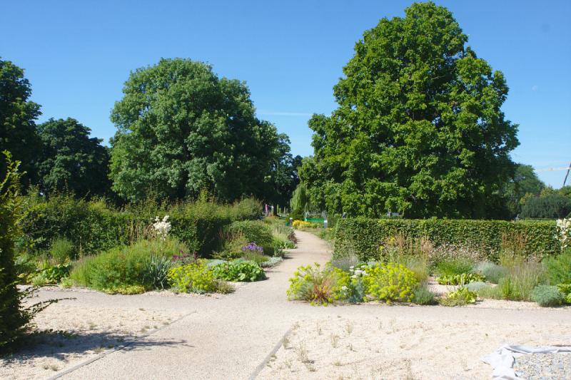 2019-07-23 10:42:03 ** Botanical Garden, Erfurt, Germany ** 
