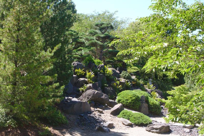 2019-07-23 12:35:08 ** Botanical Garden, Erfurt, Germany ** 