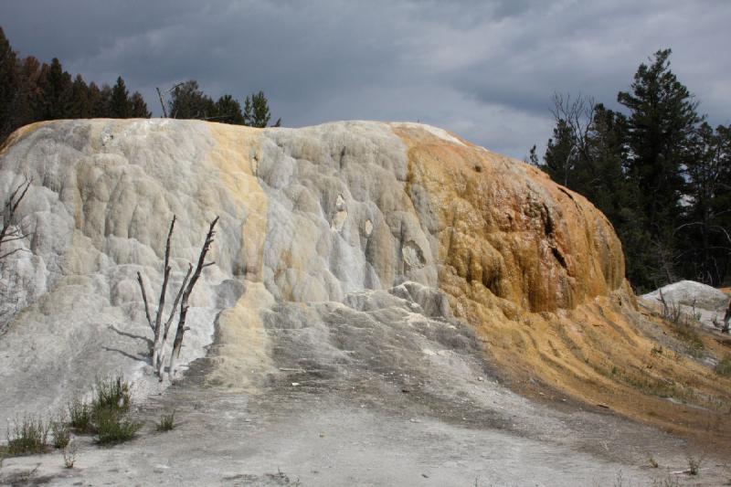 2009-08-04 10:52:47 ** Yellowstone National Park ** 