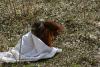The baby orang-utan plays with a blanket.