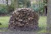 Feuerholz.