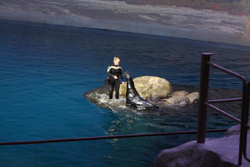 2014-03-12 12:41:05 ** Chicago, Illinois, Shedd Aquarium ** 