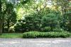 Trees in the Japanese Garden.