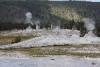 "Upper Geyser Basin", das obere Geysir Becken hinter Old Faithful.