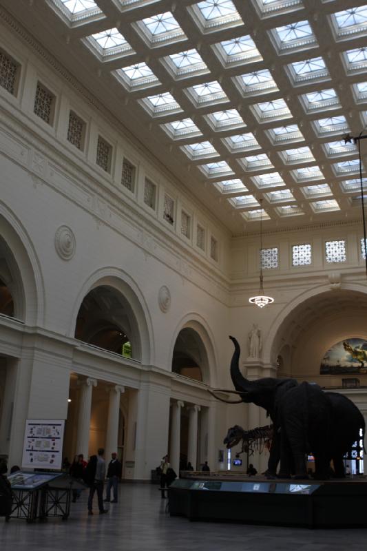 2014-03-13 16:11:55 ** Chicago, Field Museum, Illinois ** 