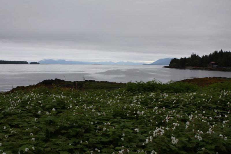 2012-06-19 09:56:11 ** Alaska, Cruise, Ketchikan, Totem Bight State Historic Park ** 