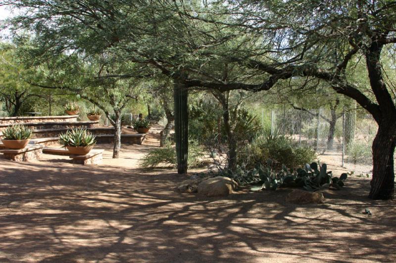 2007-10-27 12:58:48 ** Botanical Garden, Cactus, Phoenix ** Some shade in the cactus garden.