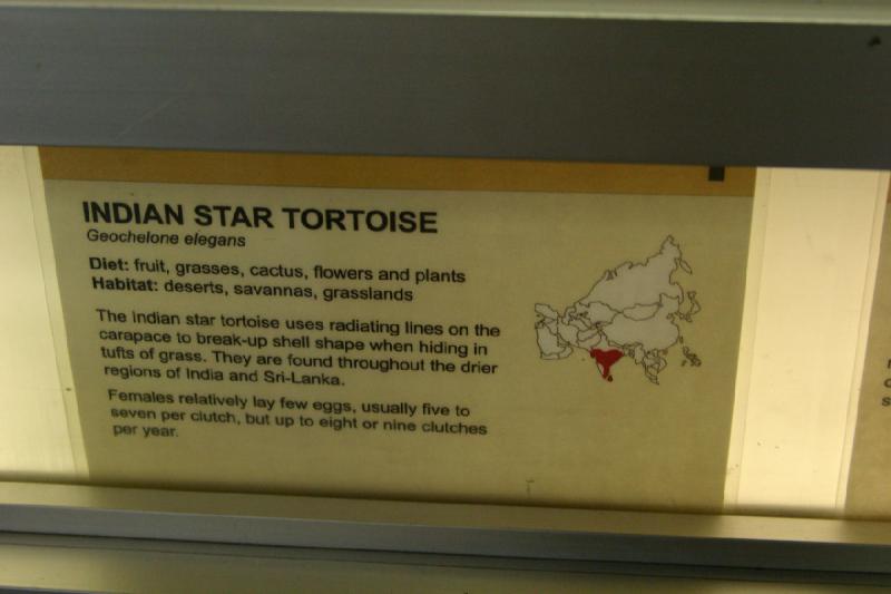 2007-06-18 12:37:38 ** Utah, Zoo ** Sign for the Indian Star tortoise.