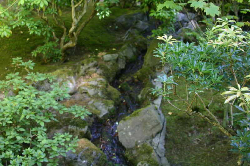 2007-09-02 14:05:52 ** Portland ** Small stream at a path.