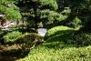 Green trees and bushes near the entrance of the Japanese Garden.